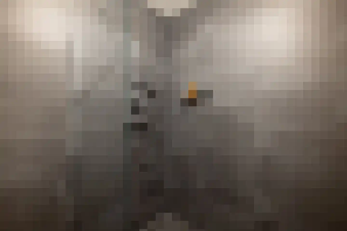 Dichtershofje 41 Amsterdam thumbnail 22