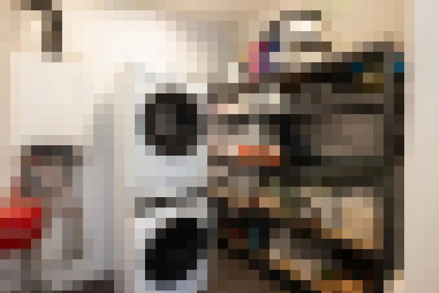 Dichtershofje 41 Amsterdam thumbnail 29