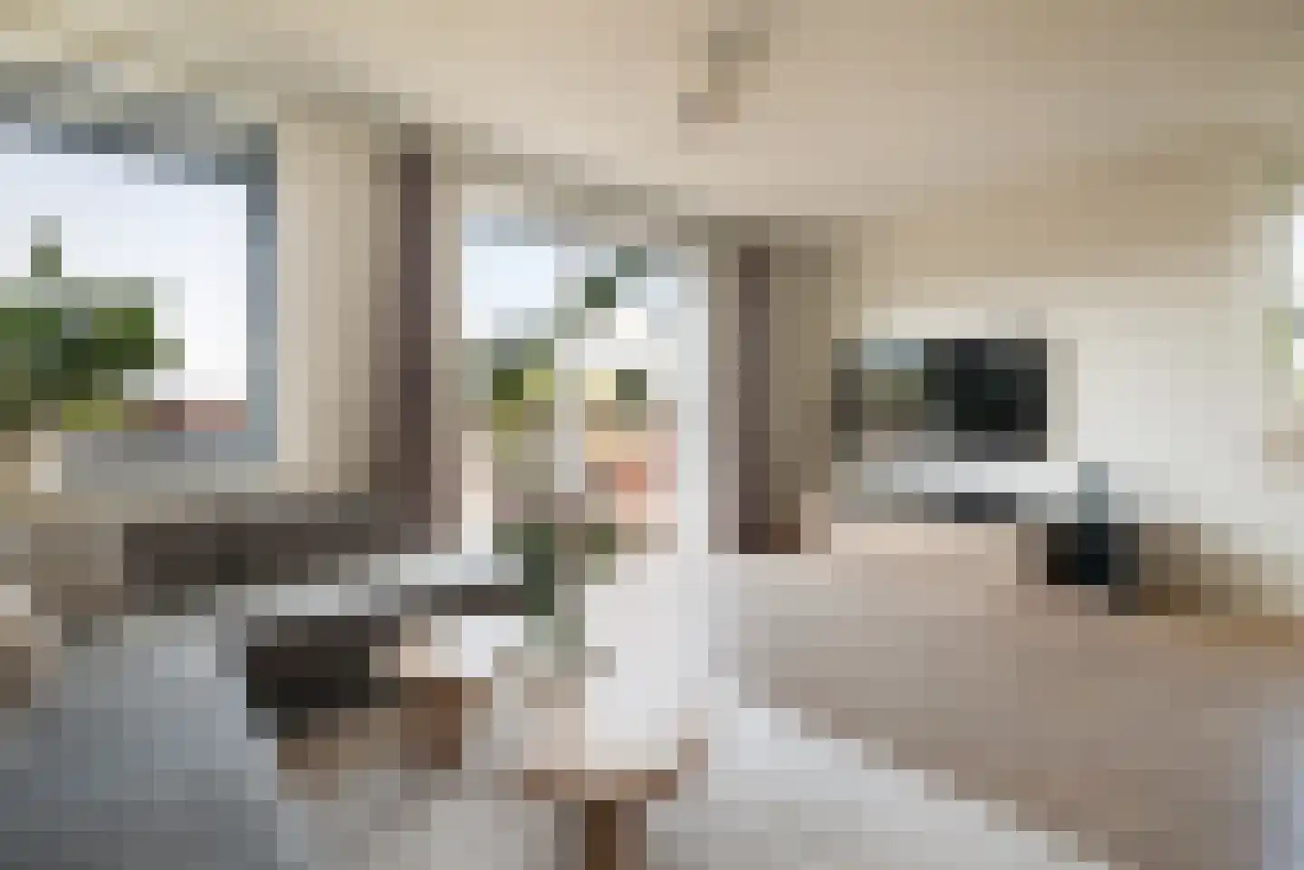 Dichtershofje 41 Amsterdam thumbnail 4