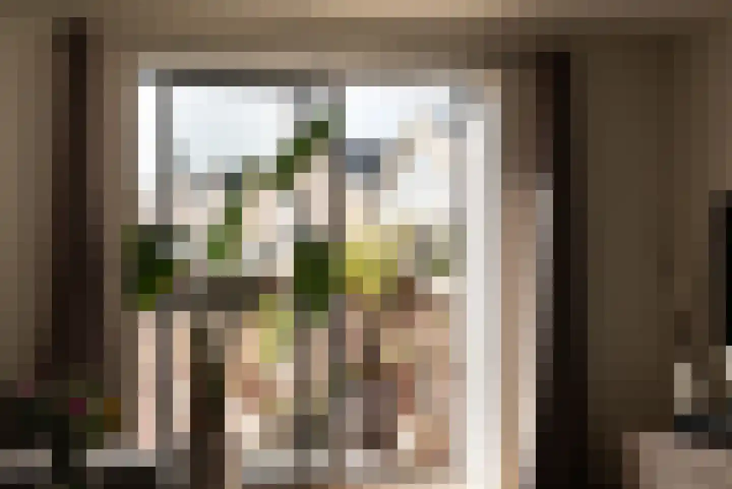 Dichtershofje 41 Amsterdam thumbnail 5