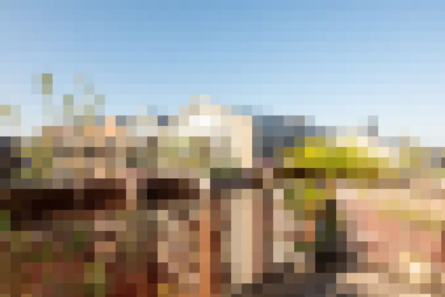 Dichtershofje 41 Amsterdam thumbnail 6