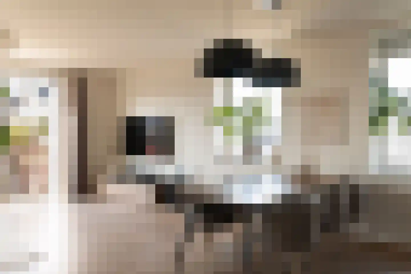 Dichtershofje 41 Amsterdam thumbnail 9