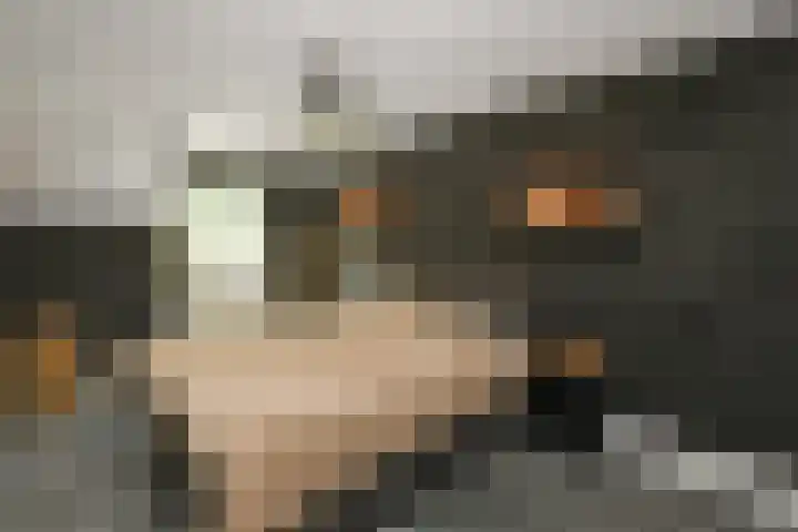 Dichterslaan 20 Veenendaal thumbnail 16