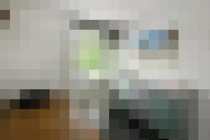Dichterslaan 20 Veenendaal thumbnail 20