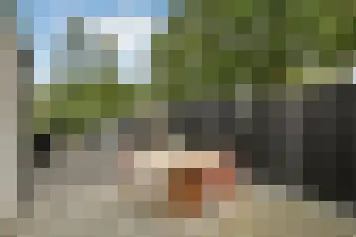 Dichterslaan 20 Veenendaal thumbnail 34