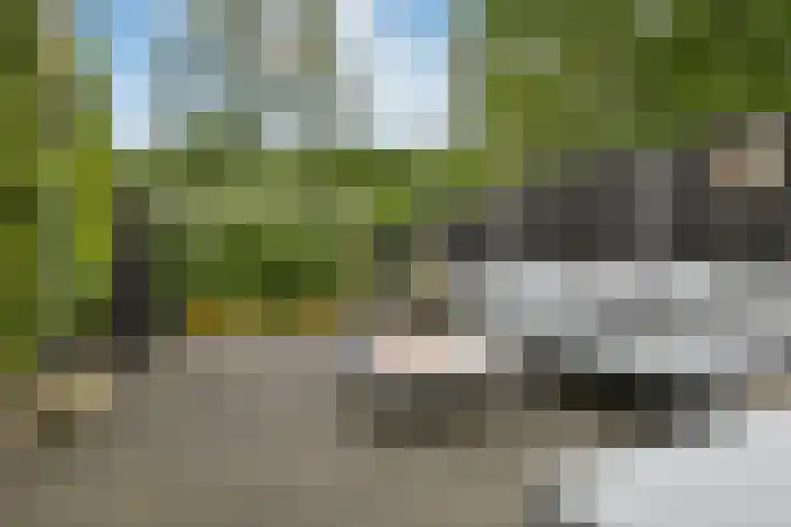 Dichterslaan 20 Veenendaal thumbnail 37