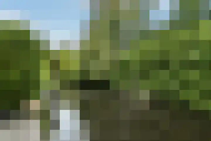 Dichterslaan 20 Veenendaal thumbnail 38