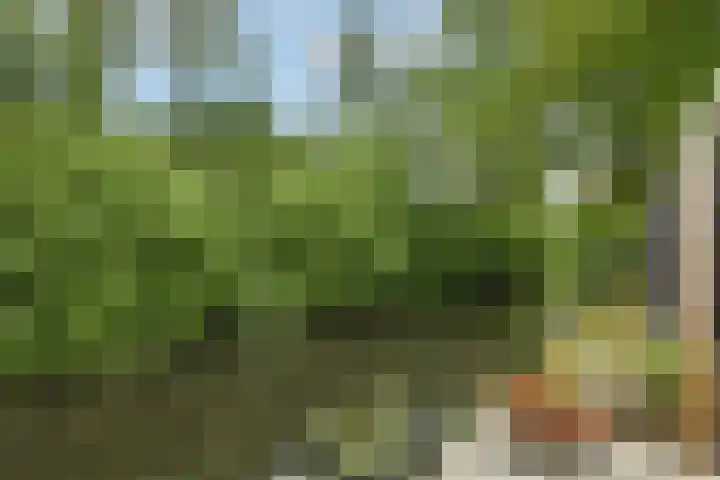 Dichterslaan 20 Veenendaal thumbnail 39
