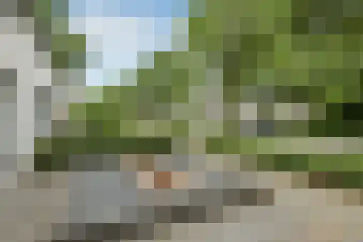 Dichterslaan 20 Veenendaal thumbnail 42