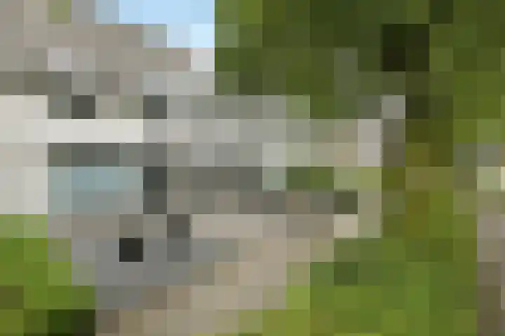 Dichterslaan 20 Veenendaal thumbnail 43