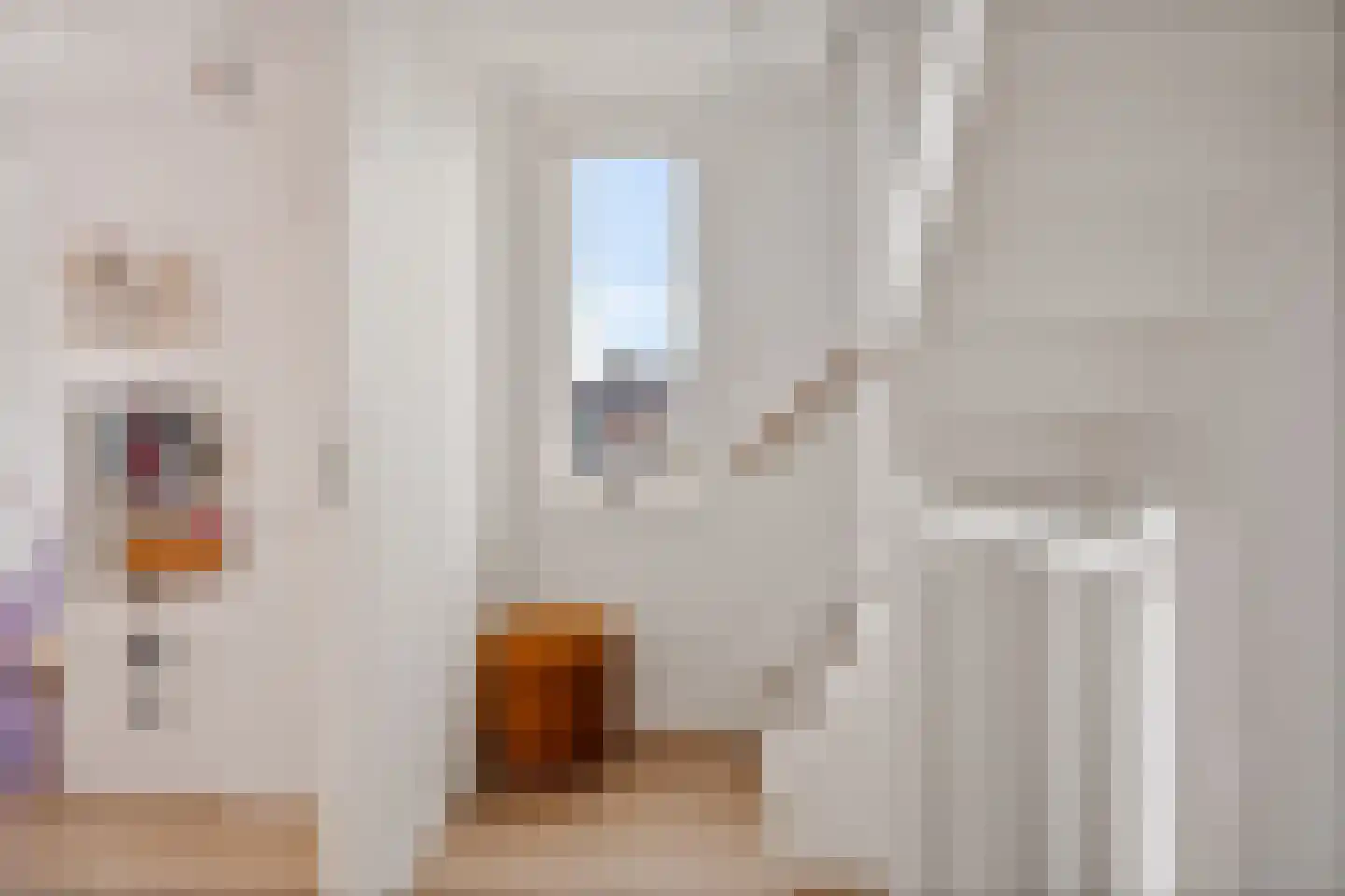 Dick Brouwerstrjitte 17 Sneek thumbnail 16