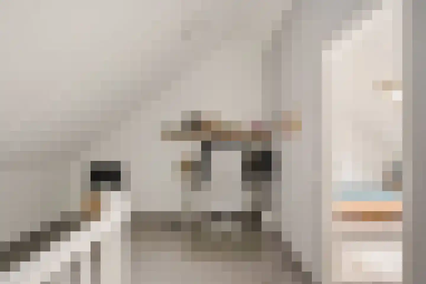 Dick Brouwerstrjitte 17 Sneek thumbnail 26