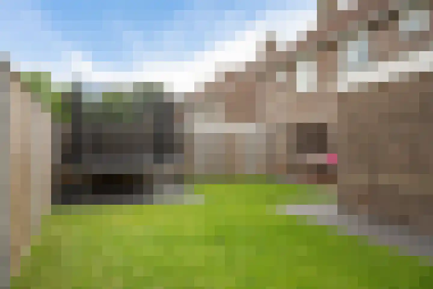 Dick Brouwerstrjitte 17 Sneek thumbnail 37