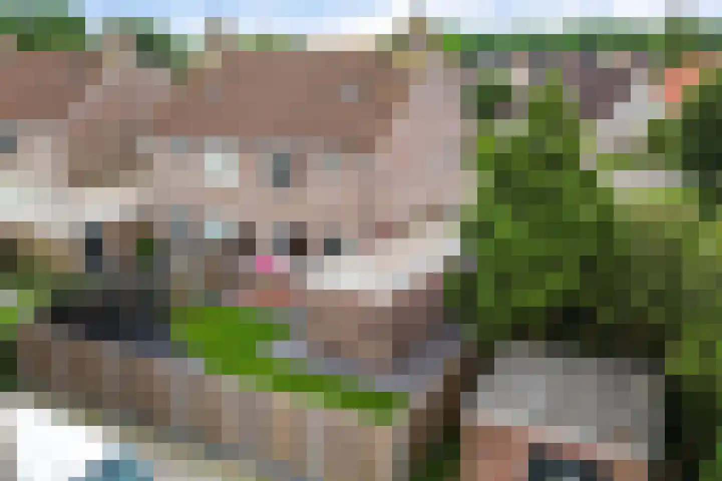 Dick Brouwerstrjitte 17 Sneek thumbnail 44