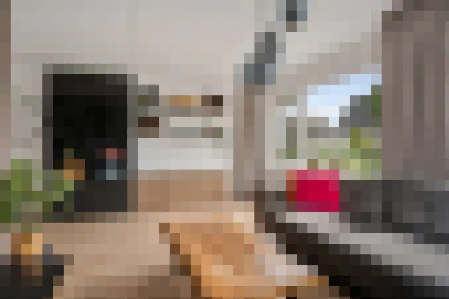 Dick Brouwerstrjitte 17 Sneek thumbnail 7