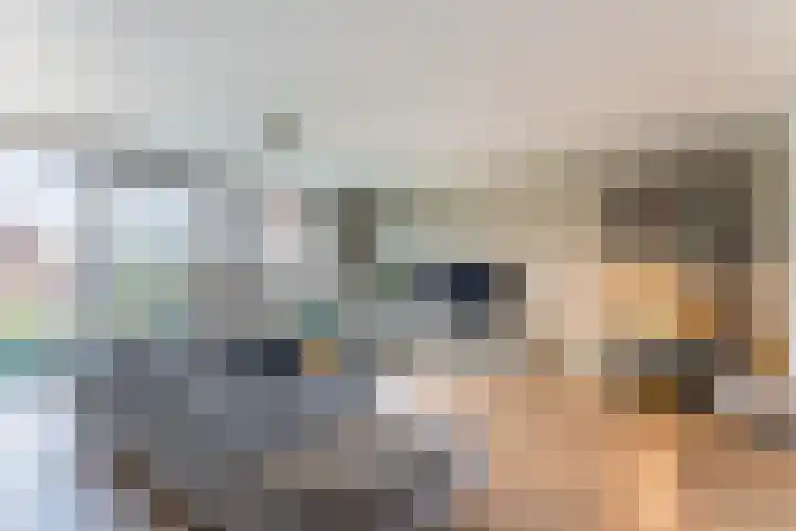 Dick Brunasingel 75 Utrecht thumbnail 11
