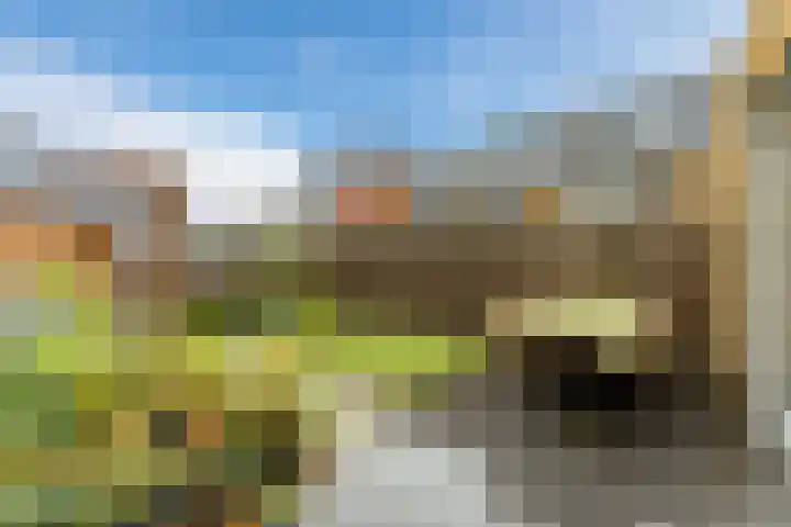 Dick Brunasingel 75 Utrecht thumbnail 13