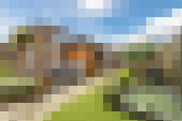 Dick Brunasingel 75 Utrecht thumbnail 14