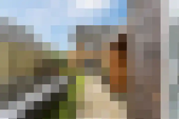 Dick Brunasingel 75 Utrecht thumbnail 15