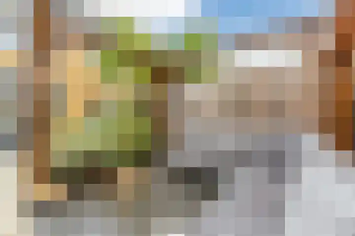 Dick Brunasingel 75 Utrecht thumbnail 17
