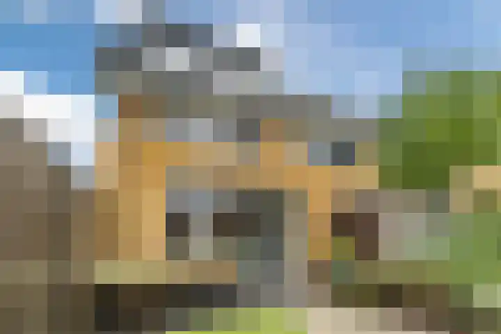 Dick Brunasingel 75 Utrecht thumbnail 18