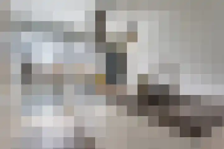 Dick Brunasingel 75 Utrecht thumbnail 25