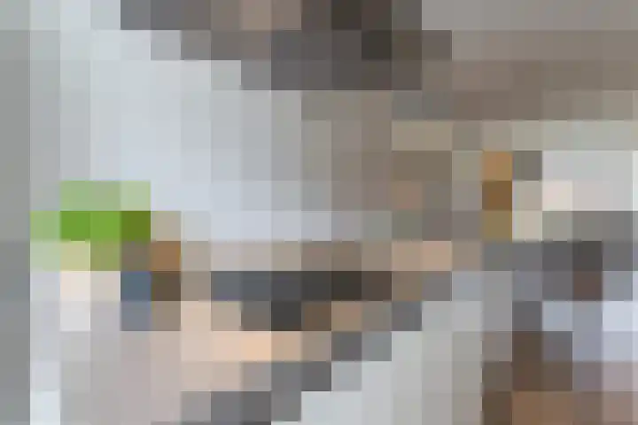 Dick Brunasingel 75 Utrecht thumbnail 27