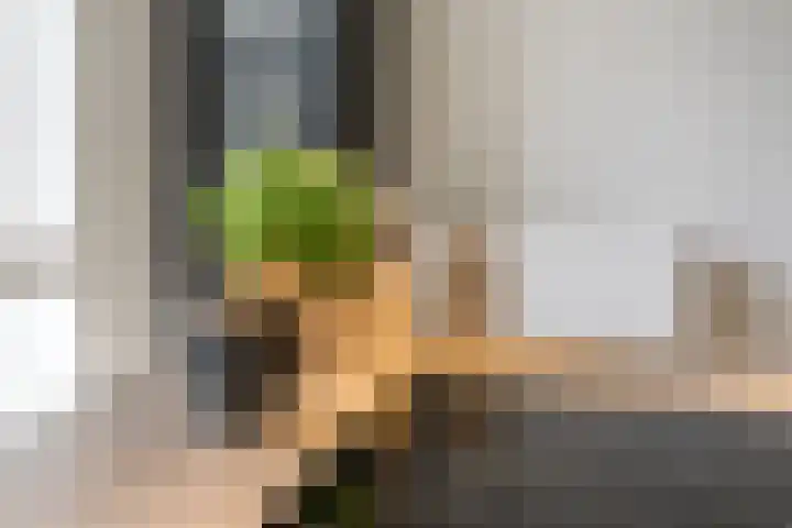 Dick Brunasingel 75 Utrecht thumbnail 28