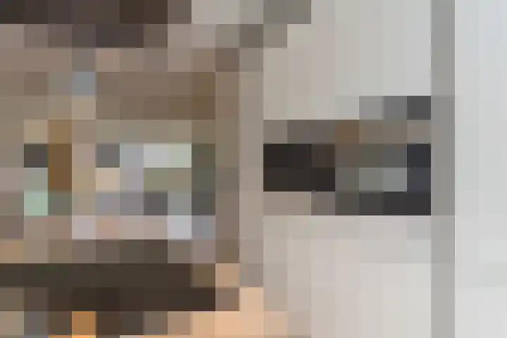 Dick Brunasingel 75 Utrecht thumbnail 29