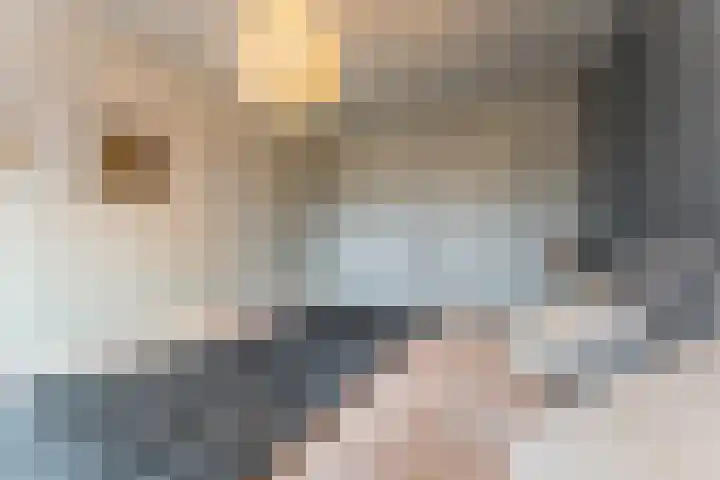 Dick Brunasingel 75 Utrecht thumbnail 32
