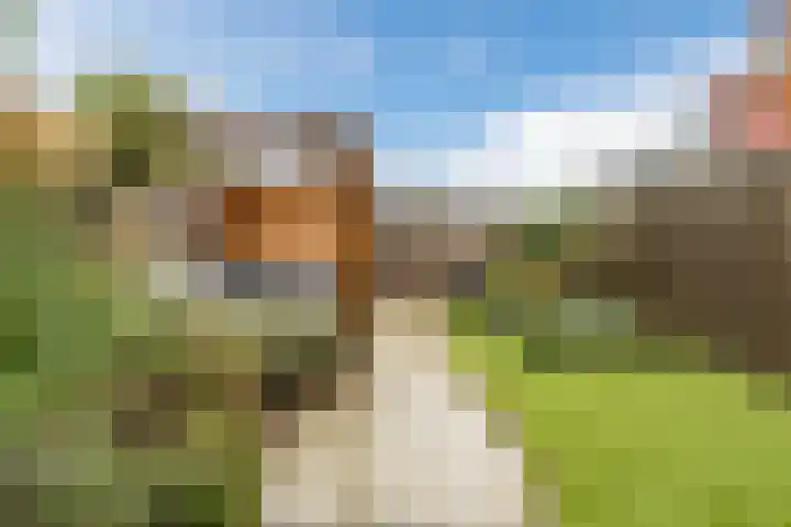 Dick Brunasingel 75 Utrecht thumbnail 4