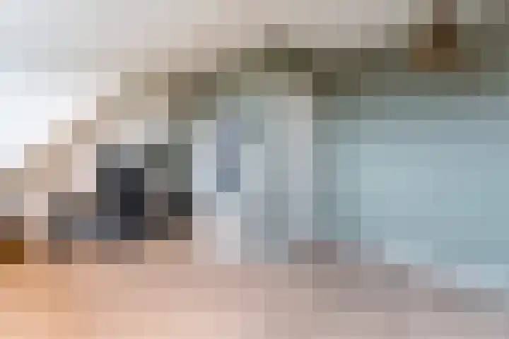 Dick Brunasingel 75 Utrecht thumbnail 46