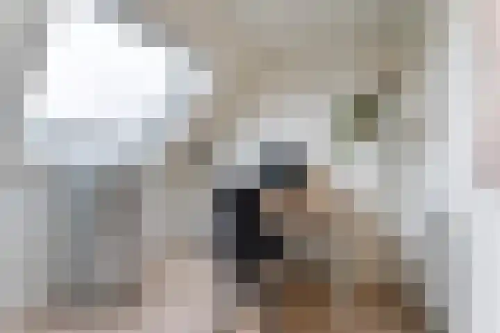 Dick Brunasingel 75 Utrecht thumbnail 48