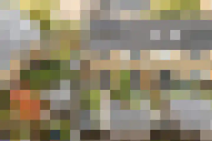 Dick Brunasingel 75 Utrecht thumbnail 53