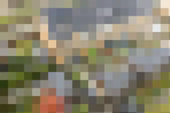 Dick Brunasingel 75 Utrecht thumbnail 54