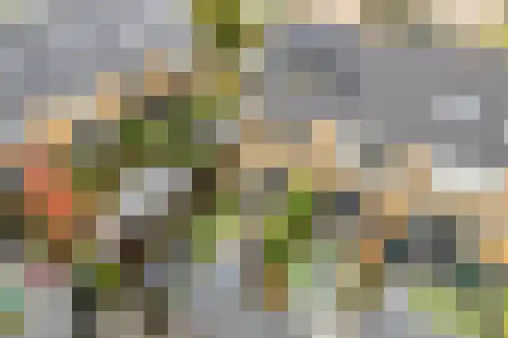 Dick Brunasingel 75 Utrecht thumbnail 55