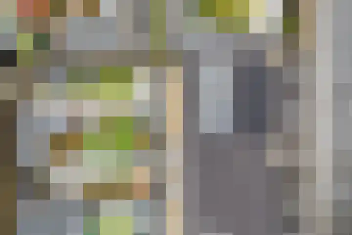 Dick Brunasingel 75 Utrecht thumbnail 57