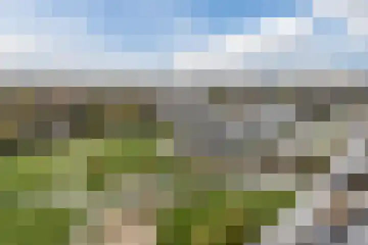 Dick Brunasingel 75 Utrecht thumbnail 61