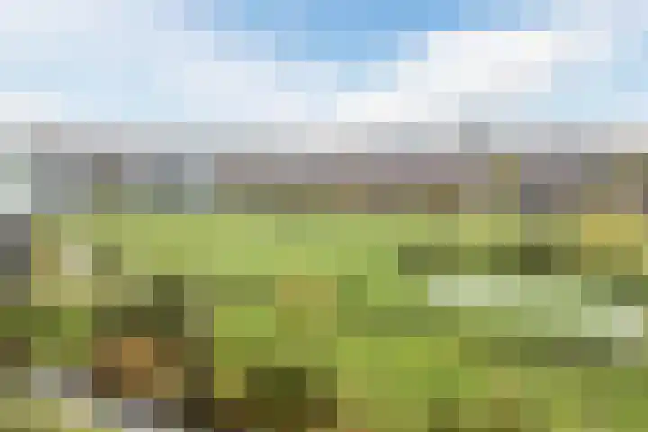 Dick Brunasingel 75 Utrecht thumbnail 62