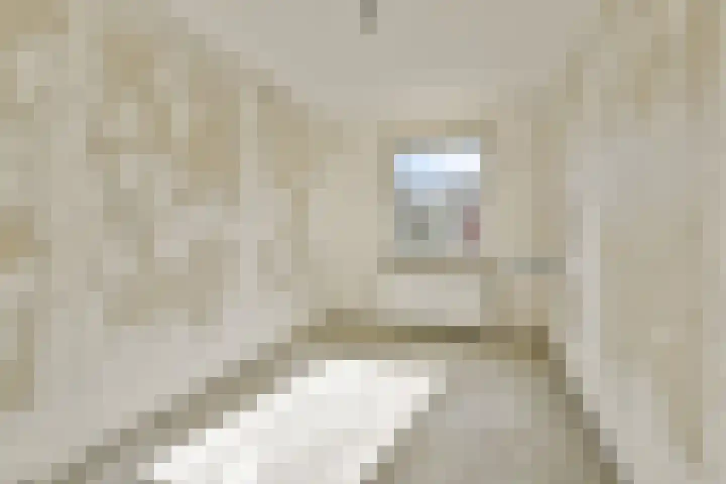 Dick Greinerstraat 18 Amsterdam thumbnail 11