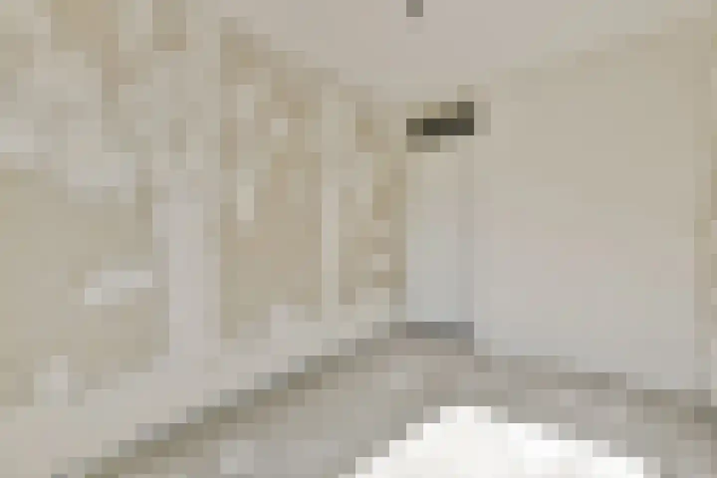 Dick Greinerstraat 18 Amsterdam thumbnail 12