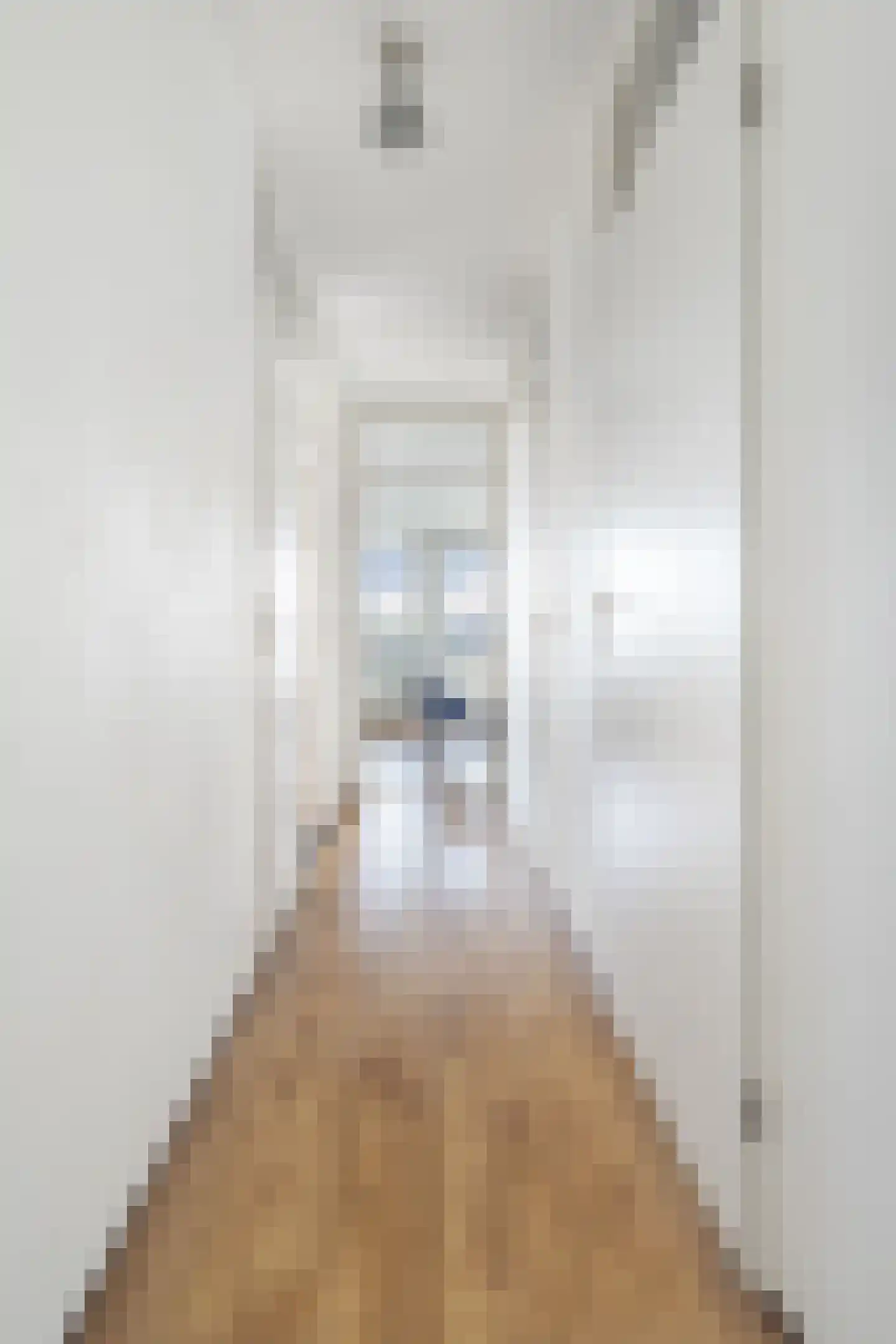 Dick Greinerstraat 22 Amsterdam thumbnail 15