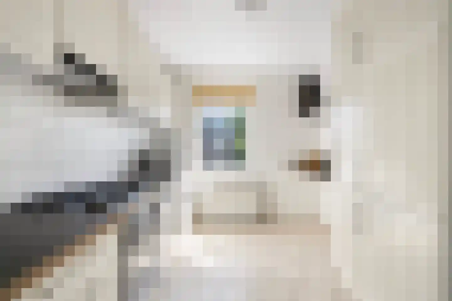 Dick Greinerstraat 22 Amsterdam thumbnail 17