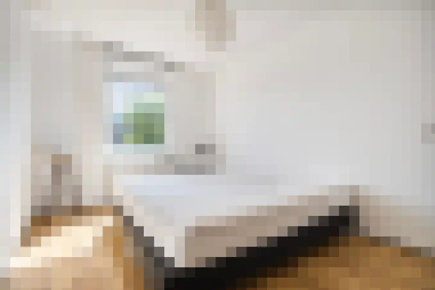 Dick Greinerstraat 22 Amsterdam thumbnail 21