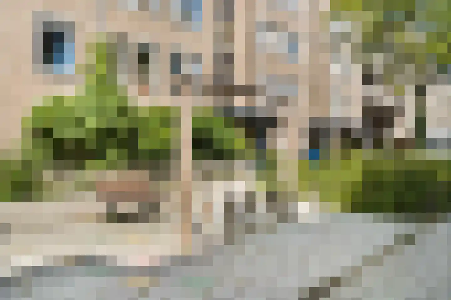 Dick Greinerstraat 22 Amsterdam thumbnail 39