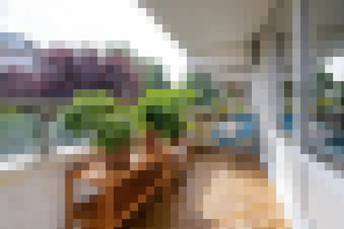 Dick Greinerstraat 36 Amsterdam thumbnail 9