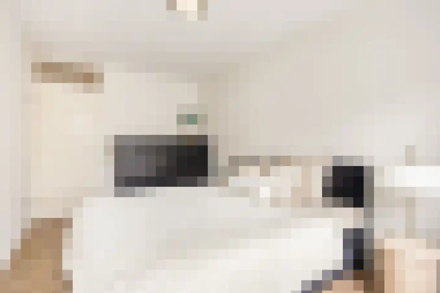 Dick Greinerstraat 42 Amsterdam thumbnail 14