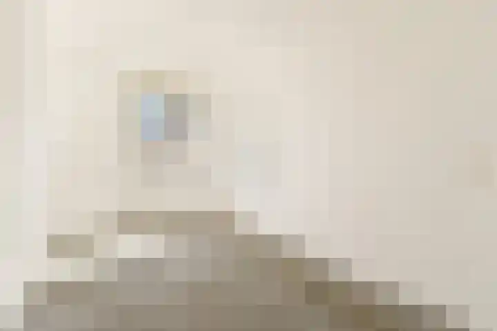 Dick Greinerstraat 43 Amsterdam thumbnail 17
