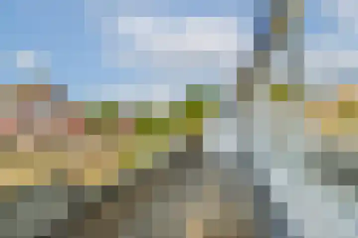 Dick Greinerstraat 43 Amsterdam thumbnail 6