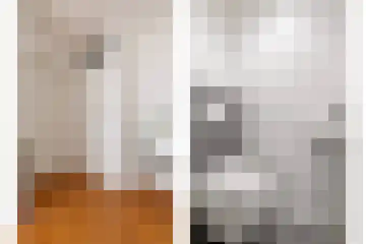 Dick Greinerstraat 58 Amsterdam thumbnail 7